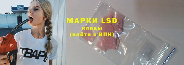 ECSTASY Майский
