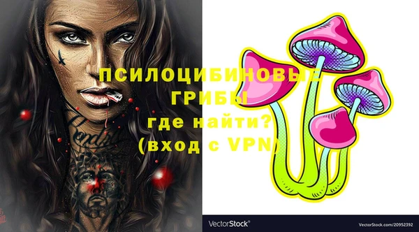 ECSTASY Майский