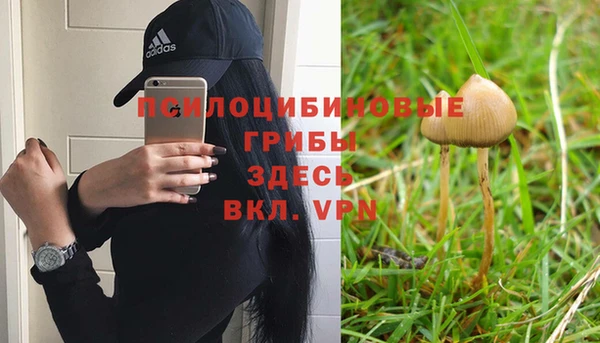 ECSTASY Майский