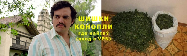 ECSTASY Майский